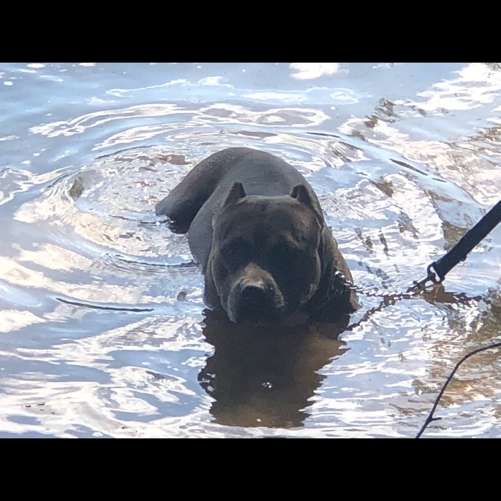 Meet your Posher, Carmen
